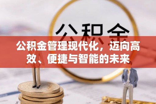 华龙公积金管理现代化，迈向高效、便捷与智能的未来