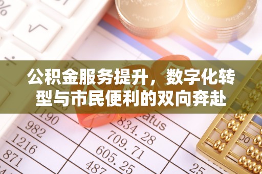 华龙公积金服务提升，数字化转型与市民便利的双向奔赴