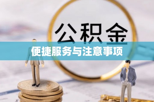 华龙便捷服务与注意事项