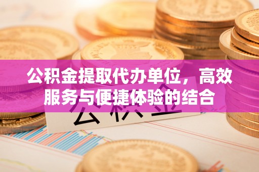 华龙公积金提取代办单位，高效服务与便捷体验的结合