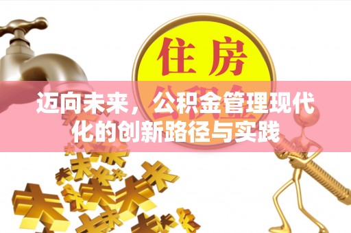 华龙迈向未来，公积金管理现代化的创新路径与实践