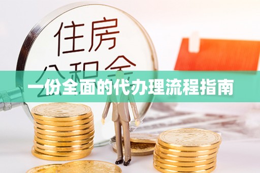 华龙一份全面的代办理流程指南
