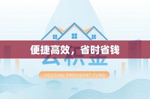 华龙便捷高效，省时省钱