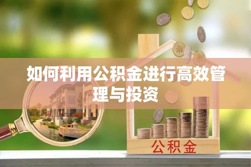华龙如何利用公积金进行高效管理与投资