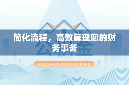 华龙简化流程，高效管理您的财务事务