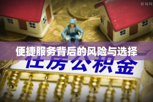 华龙便捷服务背后的风险与选择