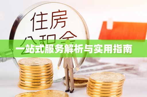 华龙一站式服务解析与实用指南