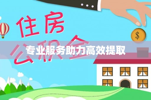 华龙专业服务助力高效提取