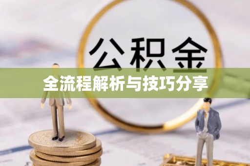 华龙全流程解析与技巧分享