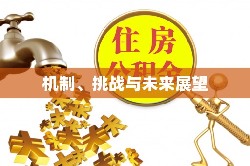 华龙机制、挑战与未来展望