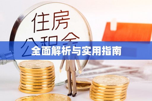 华龙全面解析与实用指南