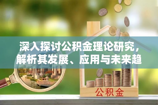 华龙深入探讨公积金理论研究，解析其发展、应用与未来趋势