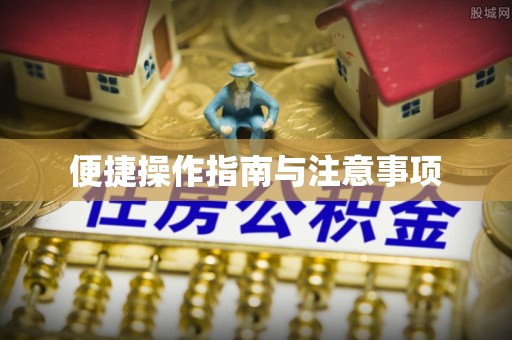 华龙便捷操作指南与注意事项