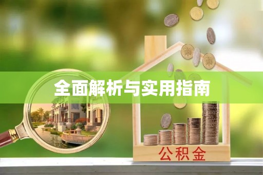 华龙全面解析与实用指南