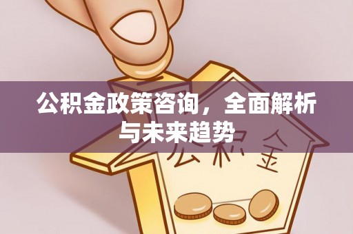 华龙公积金政策咨询，全面解析与未来趋势
